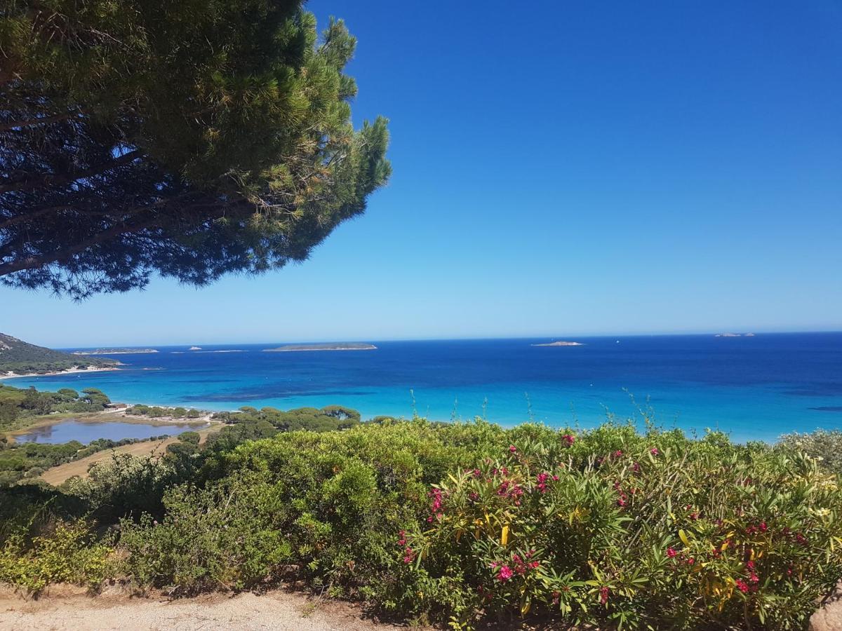 Maison Sur Palombaggia Porto-Vecchio  Buitenkant foto